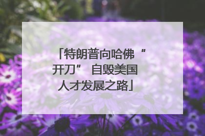 特朗普向哈佛“开刀” 自毁美国人才发展之路