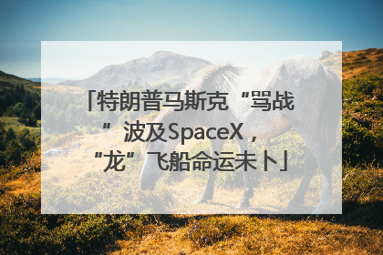 特朗普马斯克“骂战”波及SpaceX，“龙”飞船命运未卜