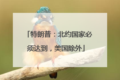 特朗普：北约国家必须达到，美国除外