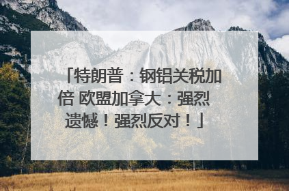 特朗普：钢铝关税加倍 欧盟加拿大：强烈遗憾！强烈反对！