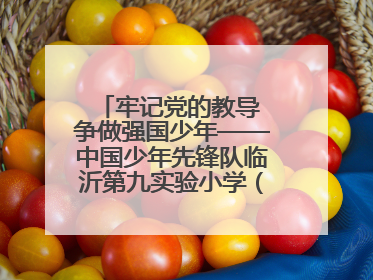 牢记党的教导 争做强国少年——中国少年先锋队临沂第九实验小学（北校区）第三次代表大会胜利召开
