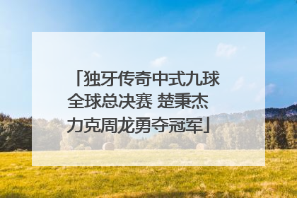独牙传奇中式九球全球总决赛 楚秉杰力克周龙勇夺冠军
