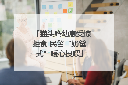 猫头鹰幼崽受惊拒食 民警“奶爸式”暖心投喂