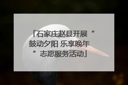石家庄赵县开展“鼓动夕阳 乐享晚年”志愿服务活动