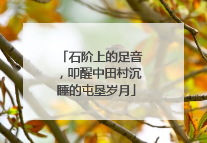 石阶上的足音，叩醒中田村沉睡的屯垦岁月