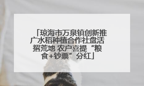 琼海市万泉镇创新推广水稻种植合作社盘活撂荒地 农户喜提“粮食+钞票”分红