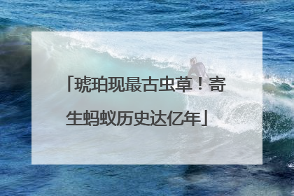 琥珀现最古虫草！寄生蚂蚁历史达亿年