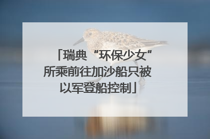 瑞典“环保少女”所乘前往加沙船只被以军登船控制