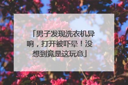 男子发现洗衣机异响，打开被吓晕！没想到竟是这玩意