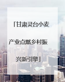 甘肃灵台小麦产业点燃乡村振兴新引擎