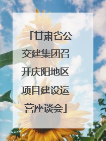 甘肃省公交建集团召开庆阳地区项目建设运营座谈会