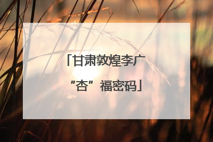 甘肃敦煌李广“杏”福密码