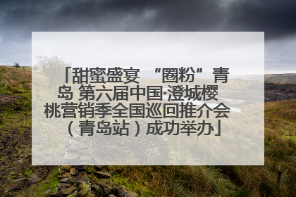 甜蜜盛宴 “圈粉”青岛 第六届中国·澄城樱桃营销季全国巡回推介会（青岛站）成功举办