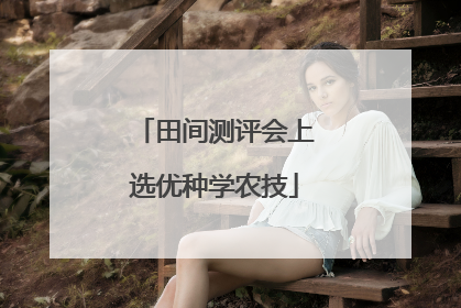 田间测评会上选优种学农技