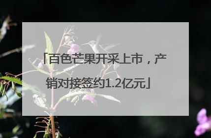 百色芒果开采上市，产销对接签约1.2亿元