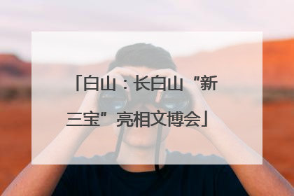 白山：长白山“新三宝”亮相文博会