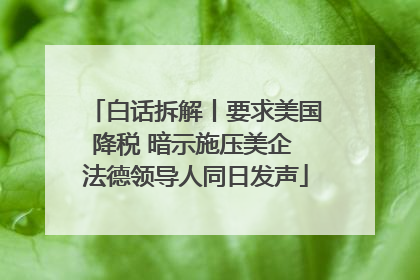 白话拆解丨要求美国降税 暗示施压美企 法德领导人同日发声