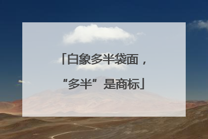 白象多半袋面，“多半”是商标