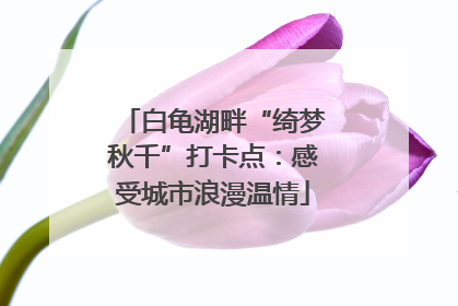 白龟湖畔“绮梦秋千”打卡点：感受城市浪漫温情