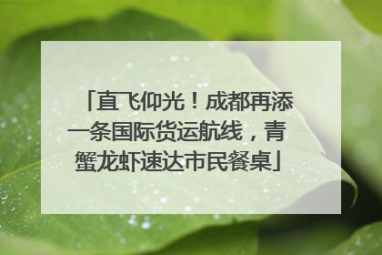 直飞仰光！成都再添一条国际货运航线，青蟹龙虾速达市民餐桌