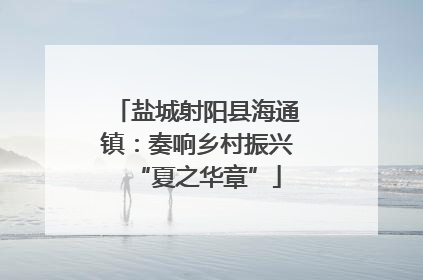 盐城射阳县海通镇：奏响乡村振兴“夏之华章”