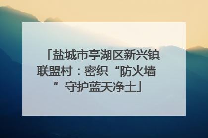 盐城市亭湖区新兴镇联盟村：密织“防火墙”守护蓝天净土