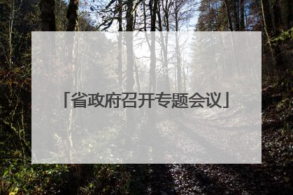 省政府召开专题会议