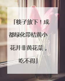 筷子放下！成都绿化带桔黄小花并非黄花菜，吃不得