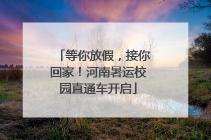 等你放假，接你回家！河南暑运校园直通车开启