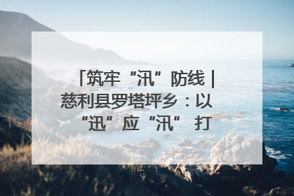 筑牢“汛”防线｜慈利县罗塔坪乡：以“迅”应“汛” 打赢暴雨防御战