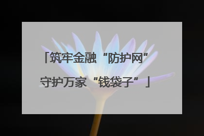 筑牢金融“防护网” 守护万家“钱袋子”