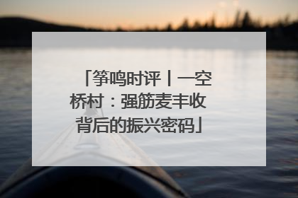 筝鸣时评丨一空桥村：强筋麦丰收背后的振兴密码
