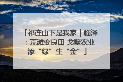 祁连山下是我家｜临泽：荒滩变良田 戈壁农业添“绿”生“金”
