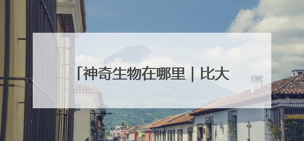 神奇生物在哪里｜比大熊猫更稀少！湖南新宁成功救护濒危鸟类海南鳽