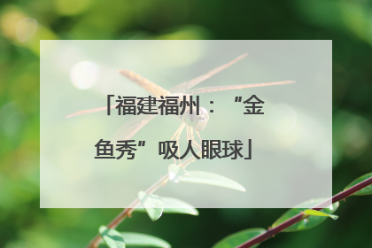 福建福州：“金鱼秀”吸人眼球