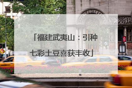 福建武夷山：引种七彩土豆喜获丰收
