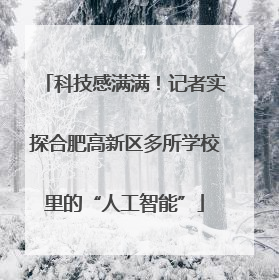科技感满满！记者实探合肥高新区多所学校里的“人工智能”