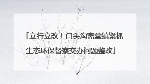 立行立改！门头沟斋堂镇紧抓生态环保督察交办问题整改