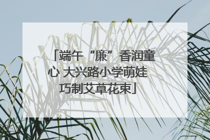 端午“廉”香润童心 大兴路小学萌娃巧制艾草花束
