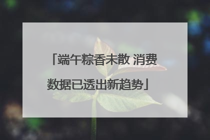 端午粽香未散 消费数据已透出新趋势