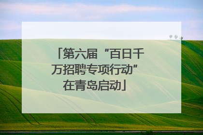 第六届“百日千万招聘专项行动”在青岛启动