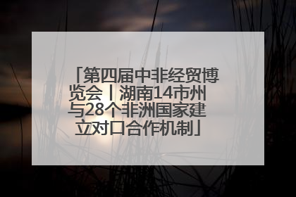 第四届中非经贸博览会丨湖南14市州与28个非洲国家建立对口合作机制