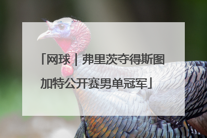 网球｜弗里茨夺得斯图加特公开赛男单冠军