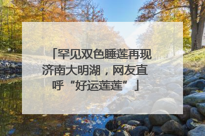罕见双色睡莲再现济南大明湖，网友直呼“好运莲莲”