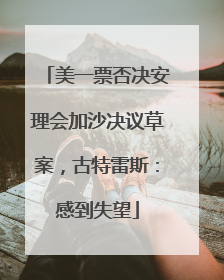 美一票否决安理会加沙决议草案，古特雷斯：感到失望