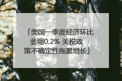 美国一季度经济环比萎缩0.2% 关税政策不确定性拖累增长