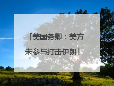 美国务卿：美方未参与打击伊朗