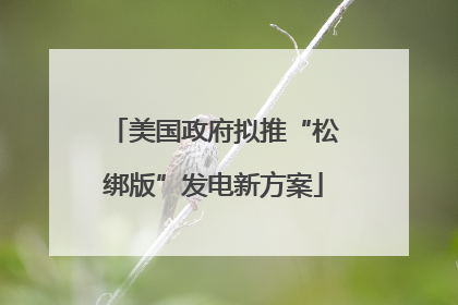 美国政府拟推“松绑版”发电新方案