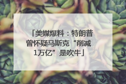 美媒爆料：特朗普曾怀疑马斯克“削减1万亿”是吹牛