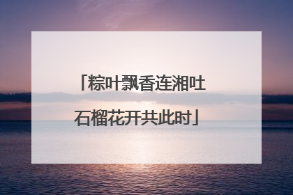 粽叶飘香连湘吐 石榴花开共此时